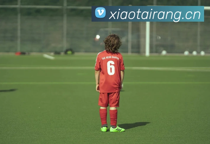 多媒体互动体验